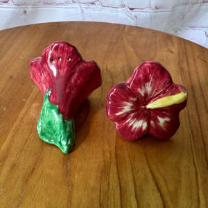 Vintage Hand Painted Flower Ceramic Salt and Pepper Shaker Pair